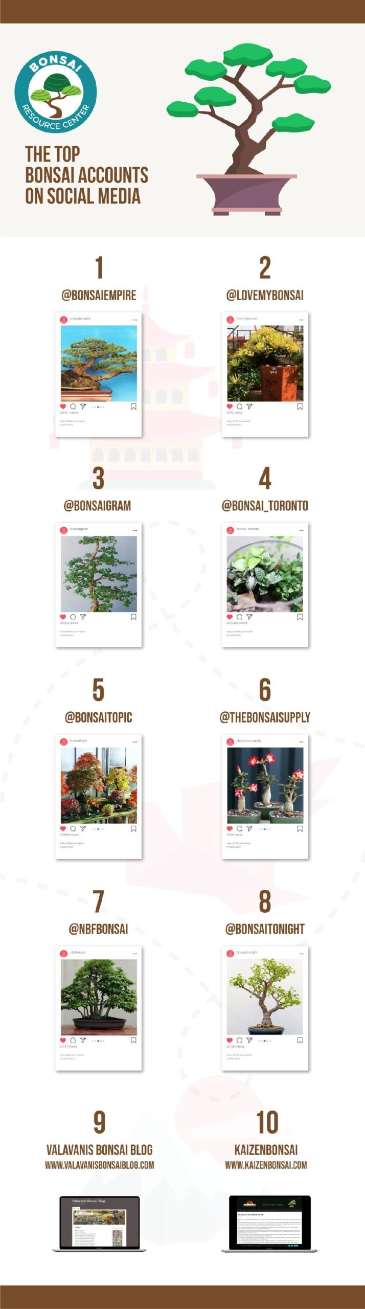 Instagram is helpful to find bonsai care tips. Learn which Instagram accounts to follow with the top bonsai tree Instagram account list. 