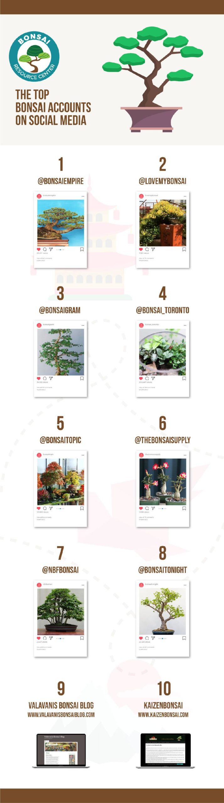 Instagram is helpful to find bonsai care tips. Learn which Instagram accounts to follow with the top bonsai tree Instagram account list.
