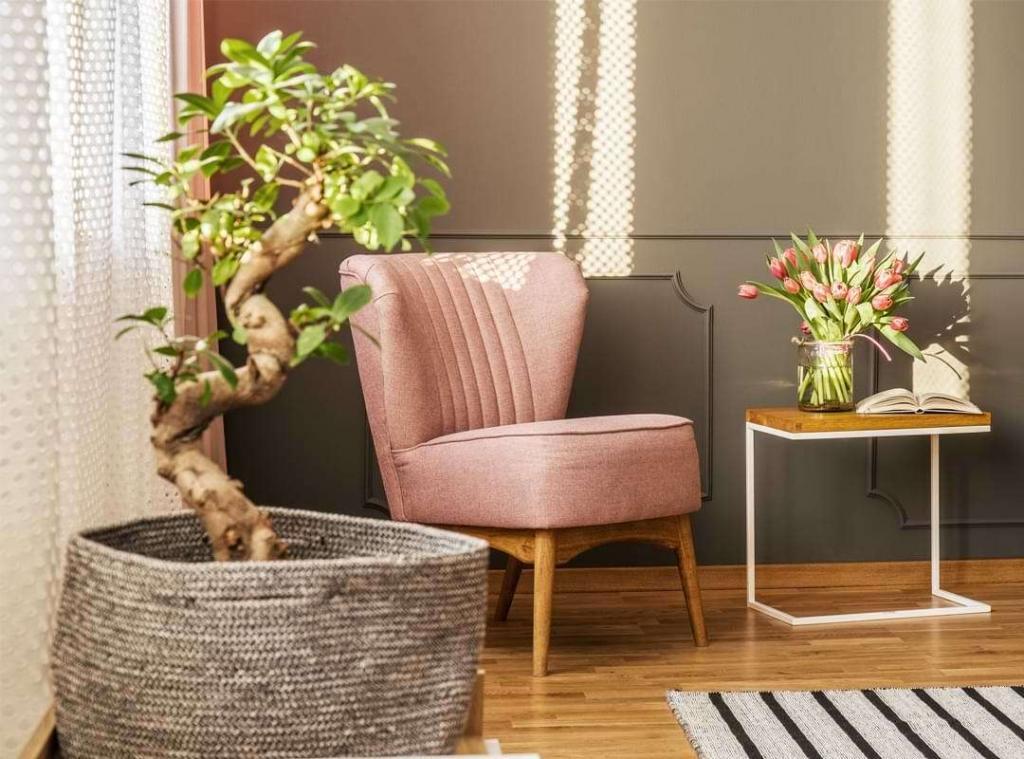 bonsai-in-elegant-living-room-PDUBKR5