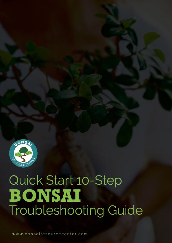 Bonsai-Troubleshooting-Guide-Page