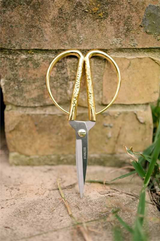 scissors-or-pruning-shears