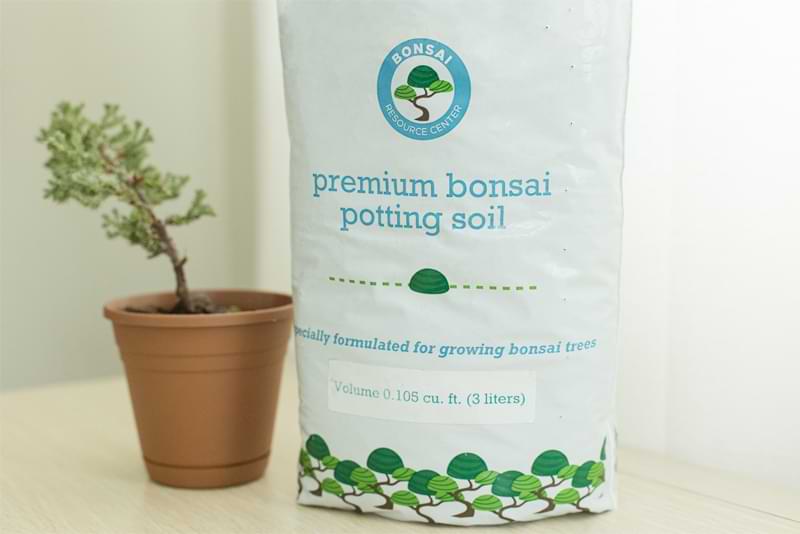Bonsai-Soil-with-Plant
