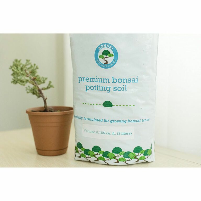Bonsai Soil Bonsai Tree Resource Center Bonsai Care Tips