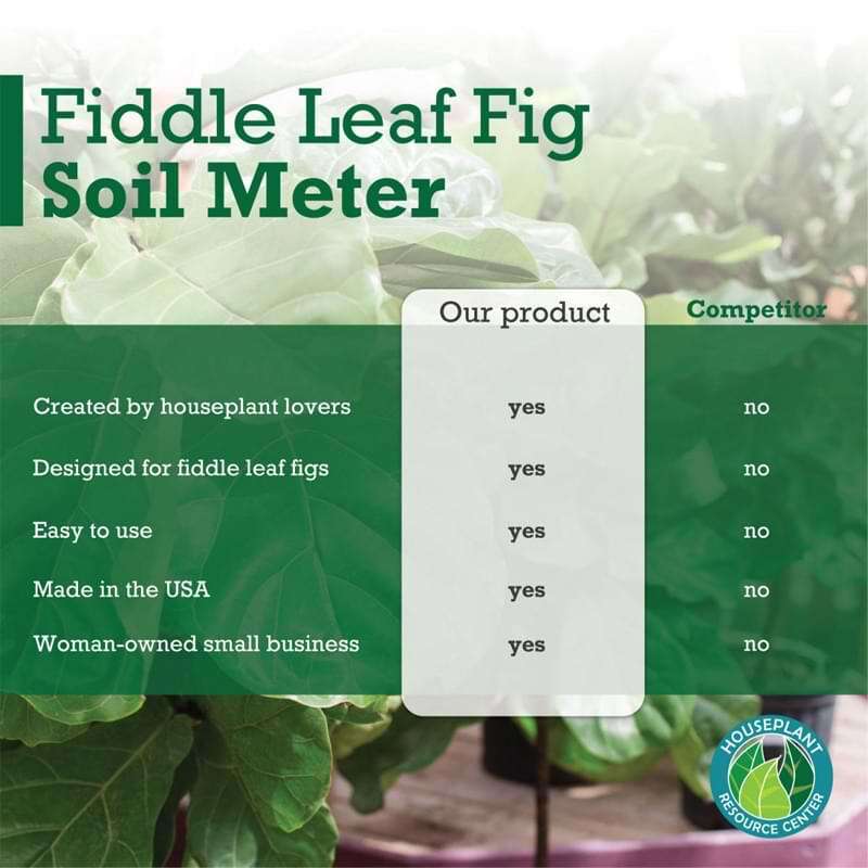 Fiddle Leaf Fig Plant Food Moisture Meter