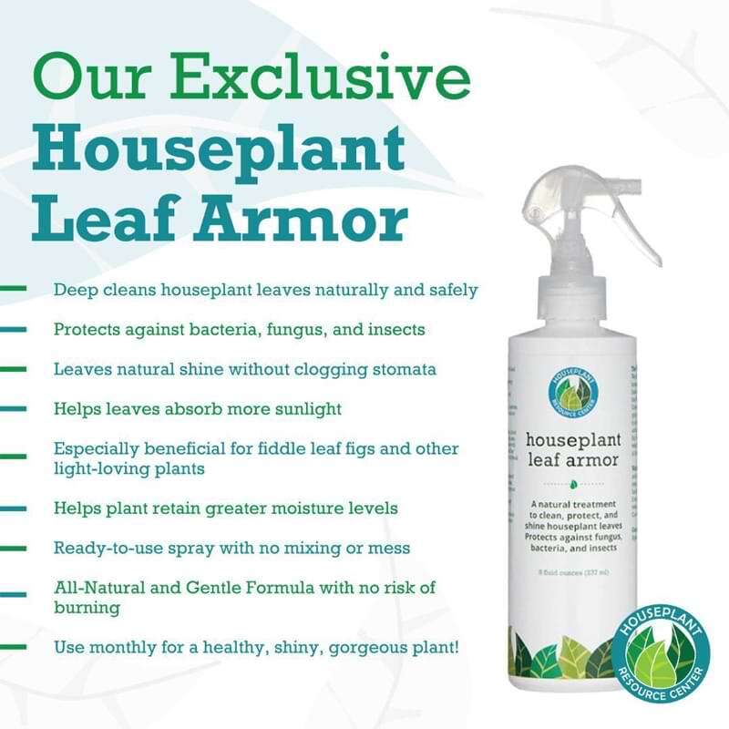 Leaf Armor - Indoor Plant Leaf Shine Spray, Cleaner & Control Pests - for  Real