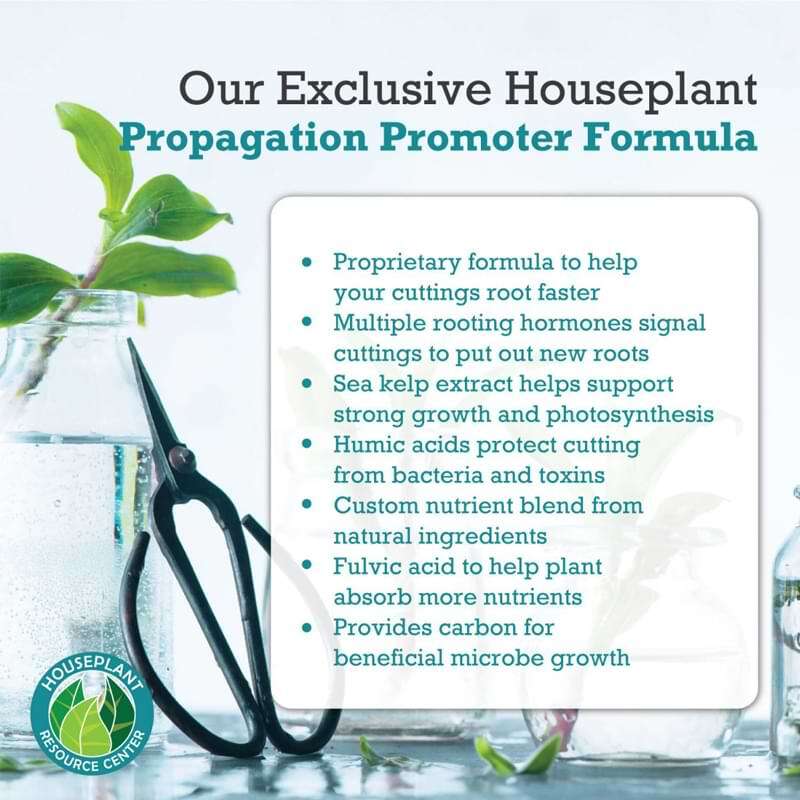 Houseplant Propagation Promoter