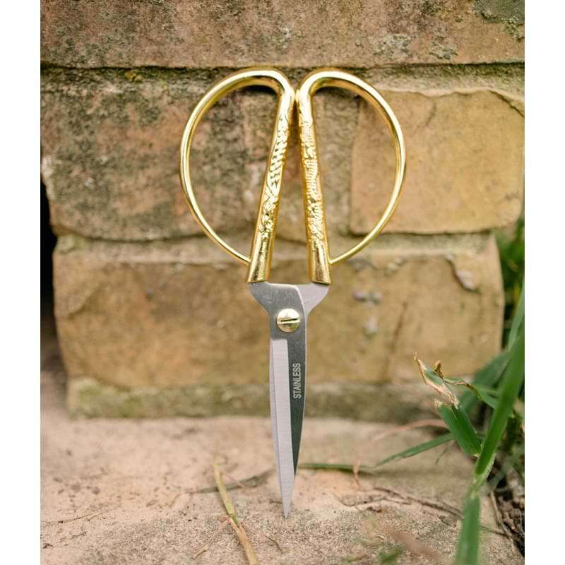 Horsvill Indoor Plant Shears Garden Scissors, Houseplant Shears Made of  Japan SK5 Stainless Steel, Flowers Herbs and Plant Cutters, Clippers,  Trimmers, Loppers, Bonsai Potted Plant Pruning Scissors - Yahoo Shopping