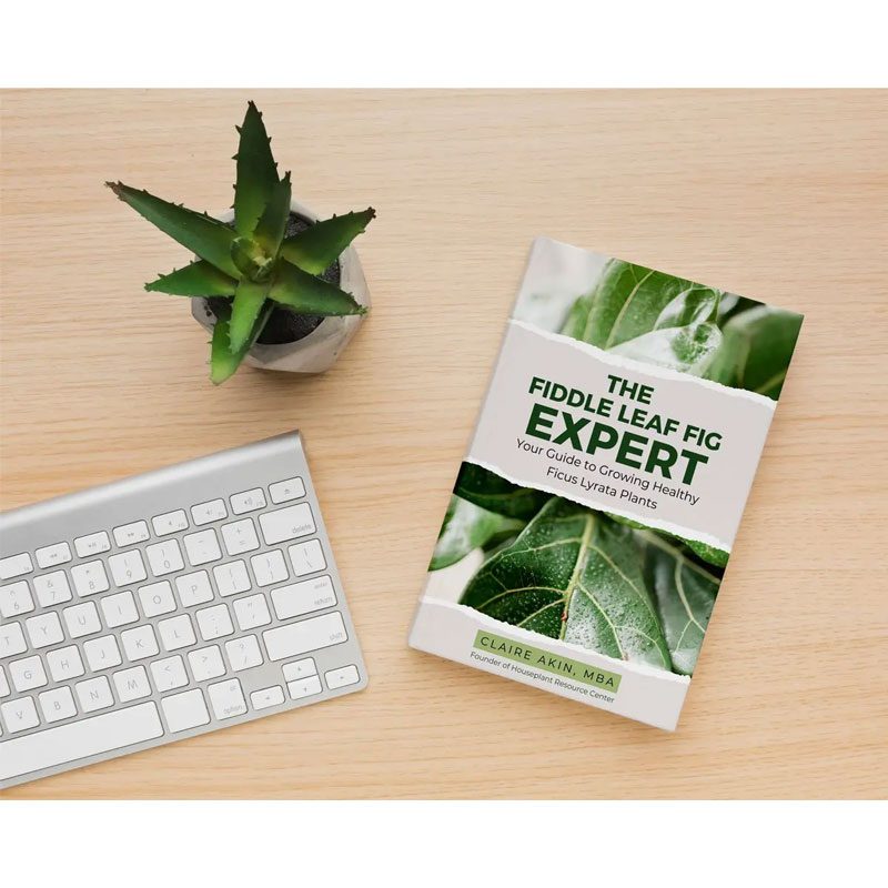 The Fiddle Leaf Fig Expert Book