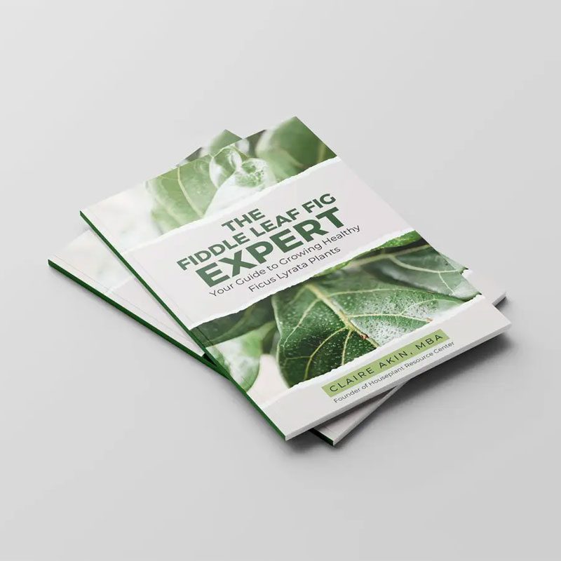 The Fiddle Leaf Fig Expert Book