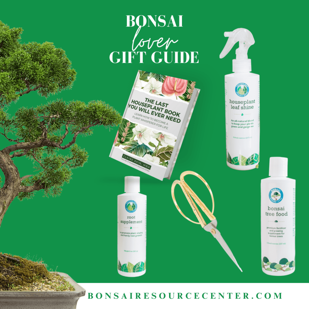 Make someone’s day special with the best Bonsai gifts that offer practical growing assistance and stylish aesthetics.