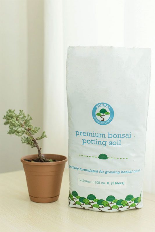 Best Bonsai Soil Mix