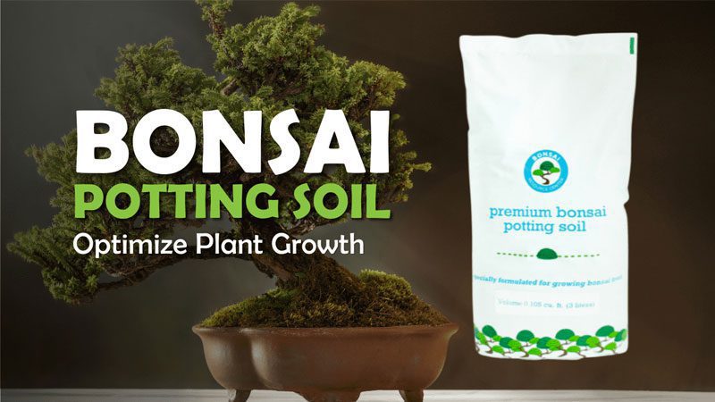Bonsai Potting Soil